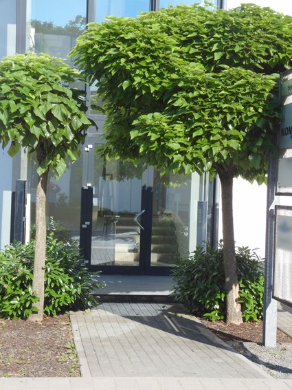 Modernes Bürohaus in Heppenheim (teilweise nutzbar für Produktion)