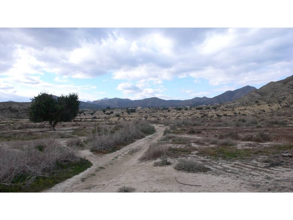 Mutxamel: Einzigartiges Baugrundstück mit Potential für zwei großzügige Villen 