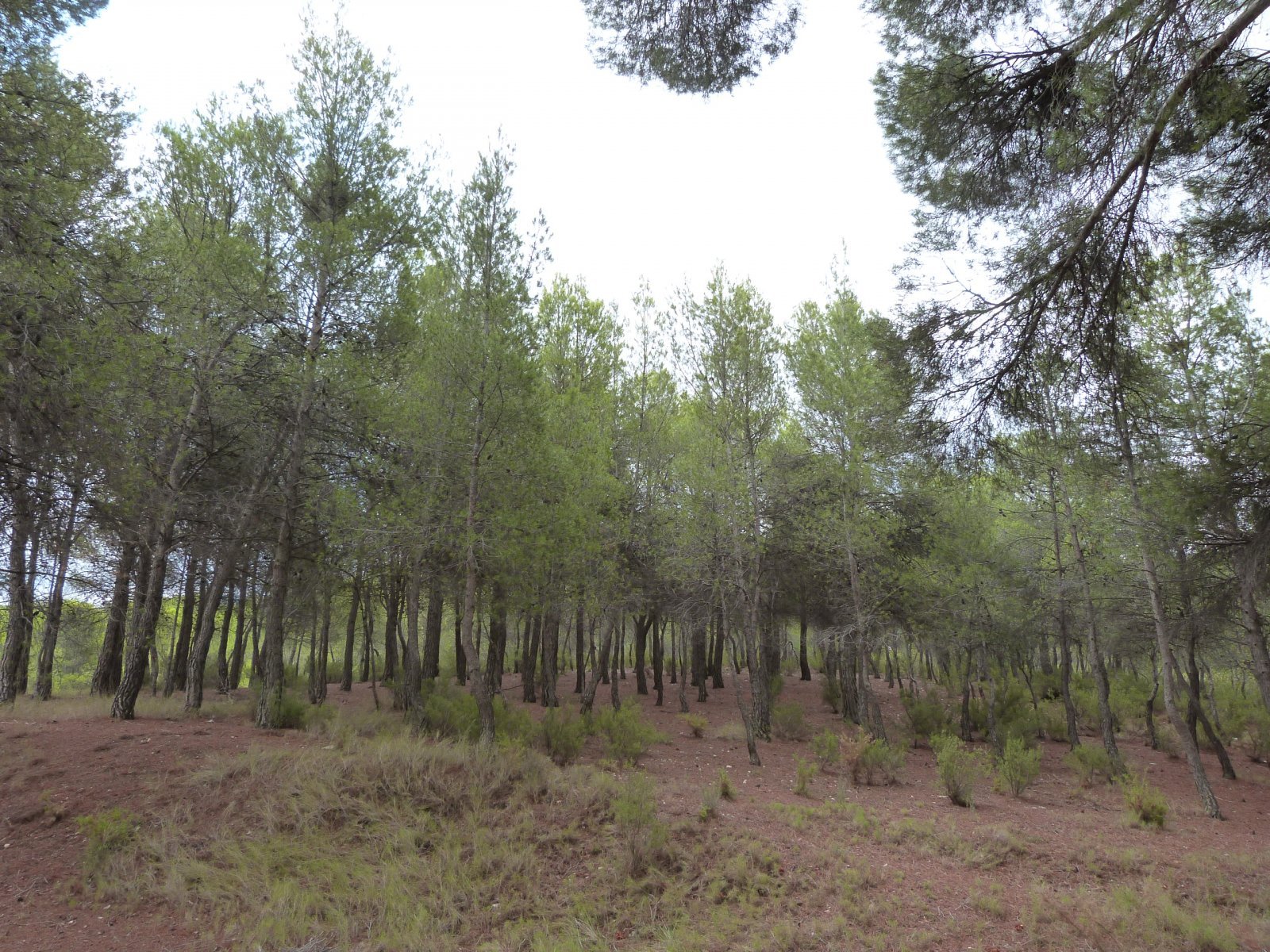 Exklusive Landimmobilie mit Pool, Natur &amp; Panoramaausblick