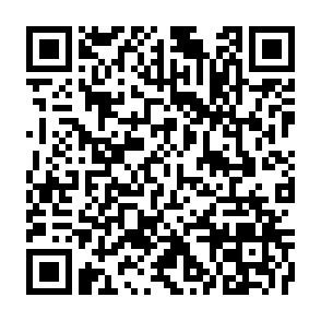 ***Wunderschöne Villa Regia mit Pool und Garten***