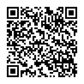 QR-Code QR-Code