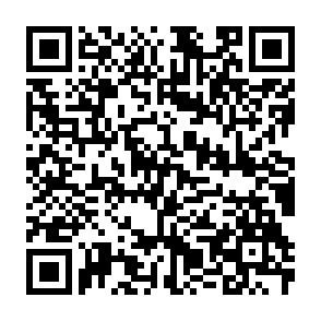 QR-Code QR-Code