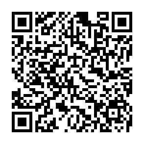 QR-Code QR-Code