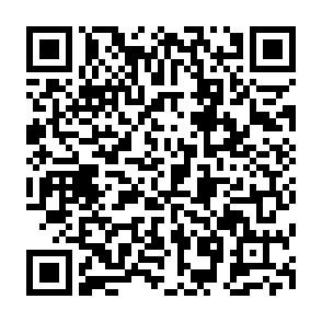 QR-Code QR-Code