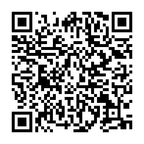 QR-Code QR-Code