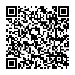 QR-Code QR-Code