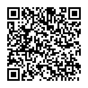 QR-Code QR-Code