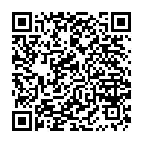 QR-Code QR-Code