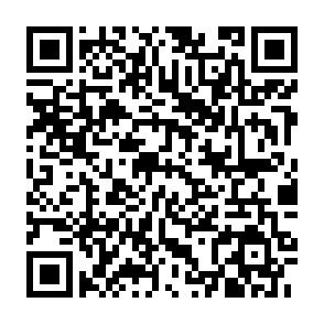 QR-Code QR-Code