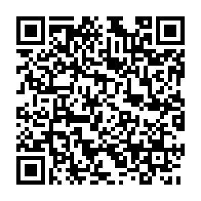 QR-Code QR-Code