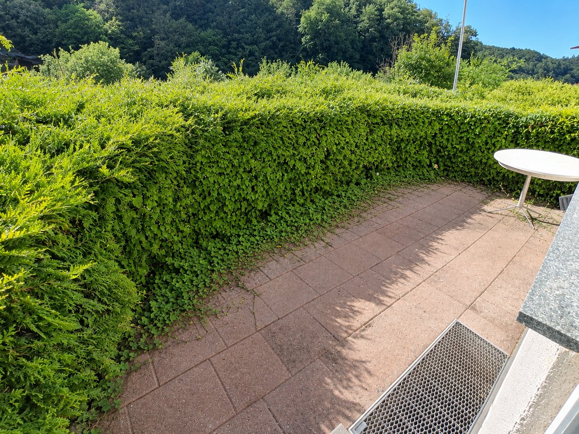 große, sonnige Terrasse