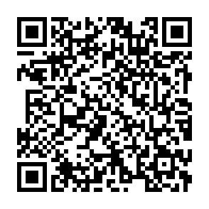 QR-Code QR-Code